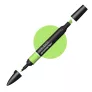 Promarker Winsor & Newton Leaf Green G258